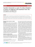 Báo cáo y học: " Cyanide intoxication as part of smoke inhalation a review on diagnosis and treatment from the emergency perspective"