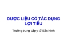 Dược liệu có tác dụng lợi tiểu