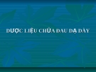 DƯỢC LIỆU CHỮA ĐAU DẠ DÀY