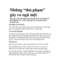 Những “thủ phạm” gây ra ngủ mệt 