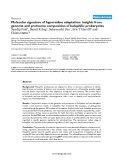 Báo cáo y học: "Molecular signature of hypersaline adaptation: insights from genome and proteome composition of halophilic prokaryote"