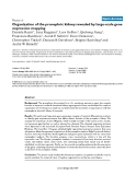 Báo cáo y học: " Organization of the pronephric kidney revealed by large-scale gene expression mapping"