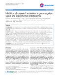 Báo cáo y học: " Inhibition of caspase-1 activation in gram-negative sepsis and experimental endotoxemia"