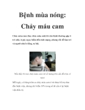 Bệnh mùa nóng: Chảy máu cam