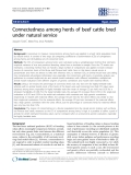 Báo cáo sinh học: "Connectedness among herds of beef cattle bred under natural service"