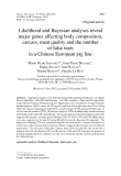 Báo cáo sinh học: " Likelihood and Bayesian analyses reveal major genes affecting body composition, carcass, meat quality and the number of false teats in a Chinese European pig line"