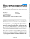 Báo cáo y học: "dentification of the prokaryotic ligand-gated ion channels and their implications for the mechanisms and origins of animal Cys-loop ion channels"