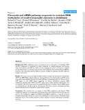 Báo cáo y học: "Chromatin and siRNA pathways cooperate to maintain DNA methylation of small transposable elements in Arabidopsis"