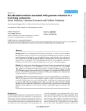 Báo cáo y học: "Accelerated evolution associated with genome reduction in a free-living prokaryote"