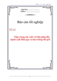 Luận văn:Thực trạng sản xuất và biện pháp đẩy mạnh xuất khẩu gạo ra thị trường thế giới