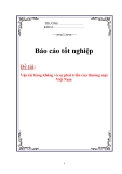 Báo cáo: Vận tải hàng không và sự phát triển của thương mại Việt Nam