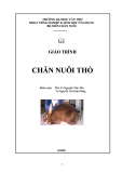 Chăn nuôi thỏ