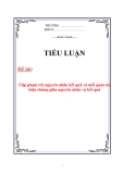 Tiểu luận: Cặp phạm trù nguyên nhân kết quả và mối quan hệ biện chứng giữa nguyên nhân và kết quả