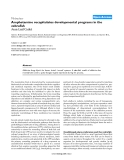 Báo cáo y học: "Amphetamine recapitulates developmental programs in the zebrafish"