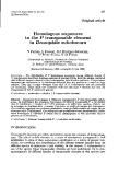 Báo cáo sinh học: "Homologous sequences transposable element in Drosophila subobscura"