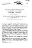 Báo cáo sinh học: " Genome size in Calomys laucha and Calomys musculinus  (Rodentia, Cricetidae)"