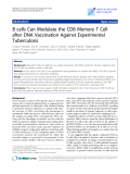 Báo cáo sinh học: "B cells Can Modulate the CD8 Memory T Cell after DNA Vaccination Against Experimental Tuberculosis"