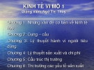 Bài giảng Kinh tế vi mô 17