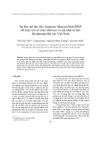 Báo cáo nghiên cứu khoa học "  Dự báo quĩ đạo bão Xangsane bằng mô hình MM5 kết hợp với cài xoáy nhân tạo và cập nhật số liệu địa phương khu vực Việt Nam "