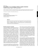 osophila as an emerging model to study metastasis