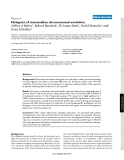 Hotspots of mammalian chromosomal evolution