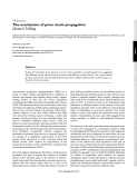 The mechanism of prion strain propagation