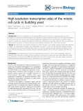 Báo cáo y học: " High-resolution transcription atlas of the mitotic cell cycle in budding yeast"