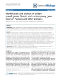 Báo cáo y học: "Identification and analysis of unitary pseudogenes: historic and contemporary gene losses in humans and other primates"