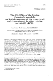 Báo cáo khoa hoc:"The 5S rDNA of the bivalve Cerastoderma edule: nucleotide sequence of the repeat unit and chromosomal location relative to 18S-28S rDNA"