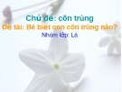 Giáo trình điện tử mầm non: bé phân biệt côn trùng