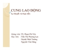 Cung lao động- Lý luận và thực tiễn