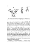 Antibody Phage Display Methods and Protocols - part 9