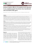 Antinociceptive effects of morphine and naloxone in mu-opioid receptor knockout mice transfected with the MORS196A gene