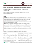 Cyclic nucleotides and mitogen-activated protein kinases: regulation of simvastatin in platelet activation