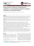 Enhancement of tolerance development to morphine in rats prenatally exposed to morphine, methadone, and buprenorphine
