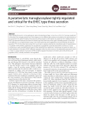 A putative lytic transglycosylase tightly regulated and critical for the EHEC type three secretion