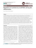 Regulation of cytokines by small RNAs during skin inflammation