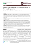 Identification of baboon microRNAs expressed in liver and lymphocytes