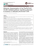 Molecular characterization of the PhoPQ-PmrDPmrAB mediated pathway regulating polymyxin B resistance in Klebsiella pneumoniae CG43