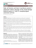 Báo cáo y học: " High cell density and latent membrane protein 1 expression induce cleavage of the mixed lineage leukemia gene at 11q23 in nasopharyngeal carcinoma cell line"