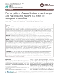 Báo cáo y học: "Precise pattern of recombination in serotonergic and hypothalamic neurons in a Pdx1-cre transgenic mouse line"