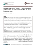 Báo cáo y học: "Prenatal exposure of ethanol induces increased glutamatergic neuronal differentiation of neural progenitor cells"