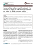 Báo cáo y học: " Conserved charged amino acid residues in the extracellular region of sodium/iodide symporter are critical for iodide transport activity"