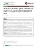 Báo cáo y học: "Reduction in antioxidant enzyme expression and sustained inflammation enhance tissue damage in the subacute phase of spinal cord contusive injury"