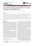 Báo cáo y học: "Autoimmunity-related demyelination in infection by Japanese encephalitis virus"