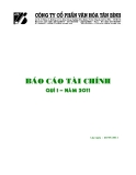 BÁO CÁO TÀI CHÍNH QUÝ 1 NĂM 2011 CỦA CÔNG TY MẸ VĂN HÓA TÂN BÌNH