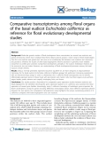 Báo cáo y học: " Comparative transcriptomics among floral organs of the basal eudicot Eschscholzia californica as reference for floral evolutionary developmental studies"