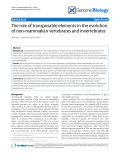 Báo cáo y học: "The role of transposable elements in the evolution of non-mammalian vertebrates and invertebrates"