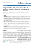 Báo cáo y học: "Long noncoding RNA genes: conservation of sequence and brain expression among diverse amniotes"