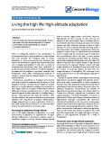 Báo cáo y học: "Living the high life: high-altitude adaptation"